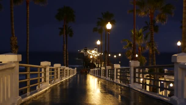 Σταγόνες βροχής, βράδυ στο Oceanside Καλιφόρνια ΗΠΑ. Πιέρ, παλάμες στο σούρουπο του λυκόφωτος. Αντανάκλαση του φωτός. — Αρχείο Βίντεο