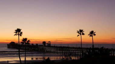 Kaliforniya 'da palmiyeler ve alacakaranlık gökyüzü. Tropik okyanus sahili günbatımı atmosferi. Los Angeles titreşimleri.