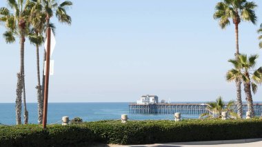 Pasifik Okyanusu sahili, palmiye ağacı ve iskele. Los Angeles yakınlarındaki tropik rıhtım beldesi..