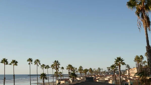 Palm tree perspective in Oceanside, California waterfront pacific ocean tropical beach resort, USA. — Stock Photo, Image