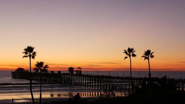 Palmen und Dämmerhimmel in Kalifornien USA. Tropische Strand Sonnenuntergang Atmosphäre. Die Stimmung in Los Angeles. — Stockfoto
