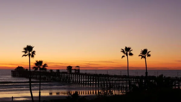 Kaliforniya 'da palmiyeler ve alacakaranlık gökyüzü. Tropik okyanus sahili günbatımı atmosferi. Los Angeles titreşimleri. — Stok fotoğraf