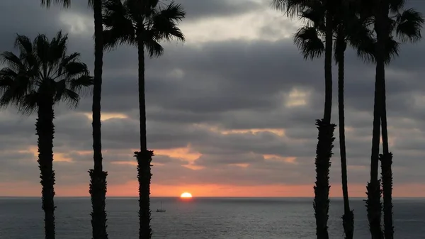 Palmen en schemering hemel in Californië USA. Tropische oceaan strand zonsondergang sfeer. Los Angeles vibes. — Stockfoto