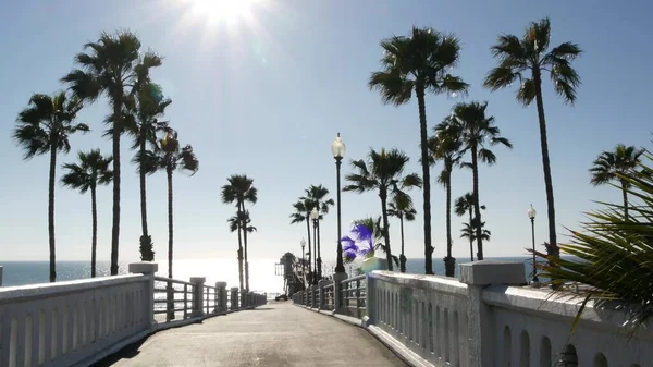 Palmbomen en pier, tropische oceaan strand, zomer Californië kust, zonnige dag USA. Schitterende zon — Stockfoto