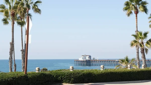 Pacific ocean beach, palm tree and pier. Tropical waterfront resort near Los Angeles California USA. — Stock Photo, Image