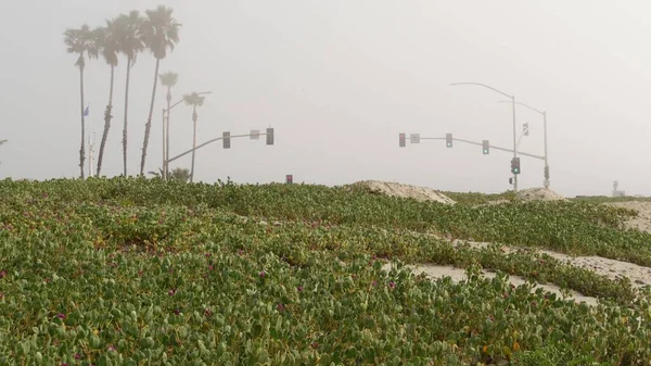 Traffic light semaphore, highway road by misty beach, California USA. Fog on sea shore ocean coast. — Stock Photo, Image