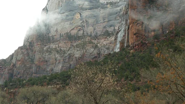 Viagem de carro, dirigindo automóvel em Zion Canyon, Utah, EUA. Carona viajando na América, viagem de outono. Falésias íngremes alienígenas vermelhas, chuva e árvores nuas. Tempo nebuloso e atmosfera de queda calma. Vista de carro — Fotografia de Stock