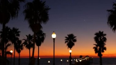 Kaliforniya 'da palmiyeler ve alacakaranlık gökyüzü. Tropik okyanus sahili günbatımı atmosferi. Los Angeles titreşimleri.