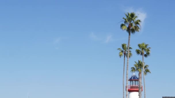 Mercusuar, pohon palem dan langit biru. Suar merah dan putih. Pelabuhan tepi laut desa. California USA — Stok Video