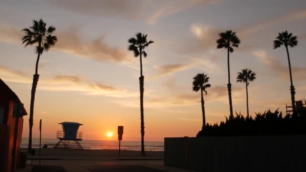 Palmas e céu do pôr do sol, estética da Califórnia. Vibrações de Los Angeles. Torre de vigia salva-vidas, torre de vigia cabana — Vídeo de Stock