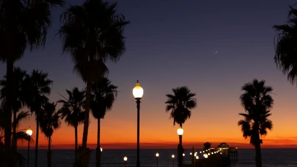 Palmas e céu crepúsculo na Califórnia EUA. Oceano tropical praia pôr-do-sol atmosfera. Vibrações de Los Angeles. — Vídeo de Stock