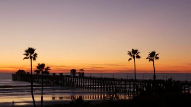 Kaliforniya 'da palmiyeler ve alacakaranlık gökyüzü. Tropik okyanus sahili günbatımı atmosferi. Los Angeles titreşimleri.
