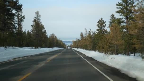在寒冷的森林里下雪，开车，在美国犹他州的冬天走公路。针叶树,透过挡风玻璃从车上看到.圣诞假期，12月的旅程布莱斯峡谷。生态旅游到森林 — 图库视频影像