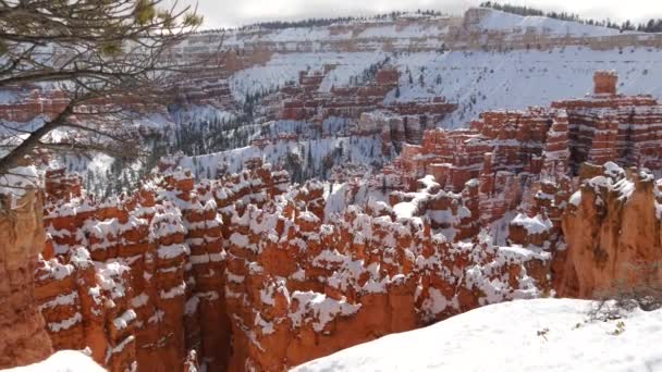 Kanion Bryce zimą, śnieg w Utah, USA. Hoodoo w amfiteatrze, erodowana ulga, panoramiczny punkt widokowy. Wyjątkowa pomarańczowa formacja. Czerwony piaskowiec, iglasta sosna lub jodła. Turystyka ekologiczna w Ameryce — Wideo stockowe