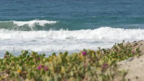 Grandes ondas de maré azul na praia, Califórnia litoral EUA. Oceano Pacífico costa, vegetação na costa do mar. — Vídeo de Stock