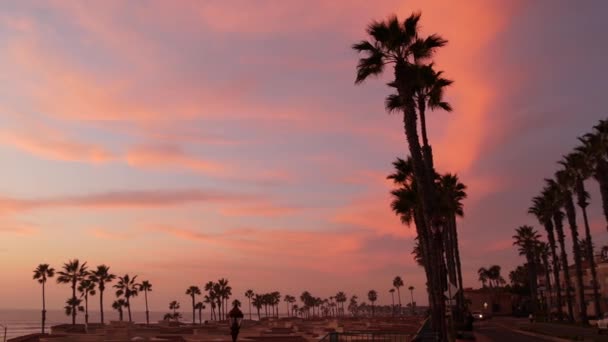 Palmy i zmierzch nieba w Kalifornii USA. Tropikalna, oceaniczna atmosfera zachodu słońca. Wibracje Los Angeles. — Wideo stockowe