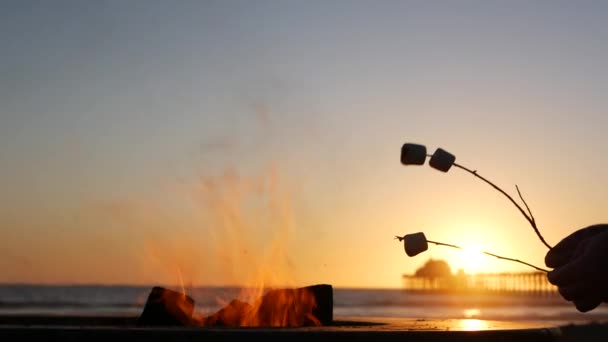 Pozzo del fuoco in California Stati Uniti. Fuoco del campo sulla spiaggia oceanica, tostatura di marshmallow arrosto sul falò. — Video Stock