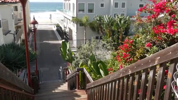 나무 계단, 캘리포니아의 해변 접근. 해안 계단, 태평양의 파도와 야자나무. — 비디오