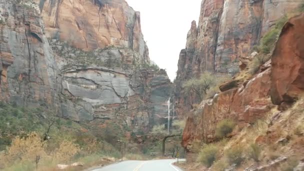 Road trip, driving auto in Zion Canyon, Utah, USA. Hitchhiking traveling in America, autumn journey. Red alien steep cliffs, rain and bare trees. Foggy weather and calm fall atmosphere. View from car — Stock Video