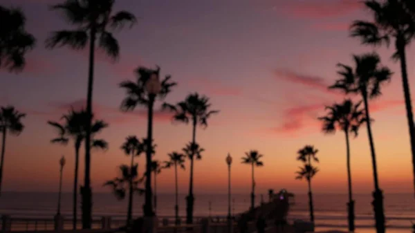 Defokted Palms, Twilight Sky, Kalifornia Egyesült Államok. Trópusi tengerparti naplemente hangulat. Los Angeles-i rezgések. — Stock Fotó