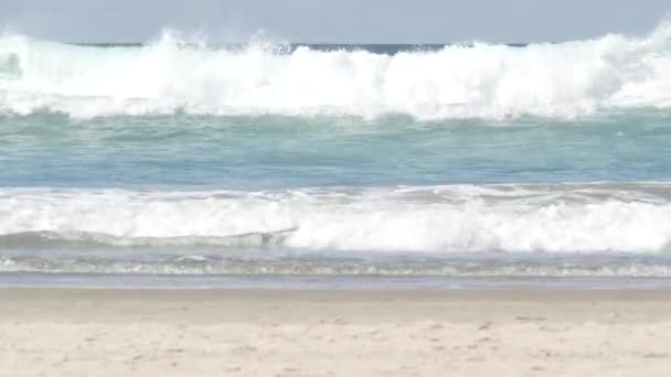 Тихий океан большие волны брызги, Калифорнийского побережья морской пейзаж США. Текстура поверхности воды и морская пена — стоковое видео