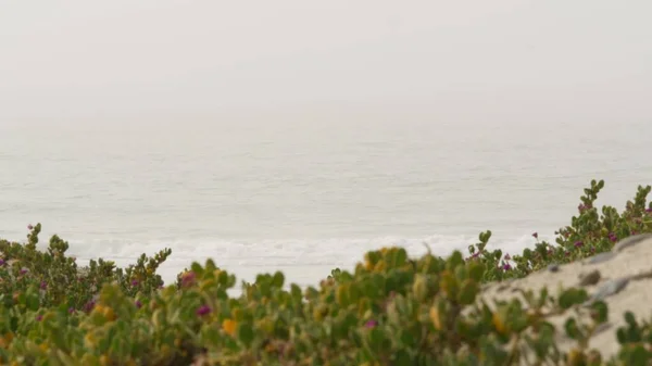 샌디 허 리 캘리포니아 미국. 태평양 연안에는 짙은 안개가 끼어 있습니다. 브루 민의 안개 속의 파도. — 스톡 사진