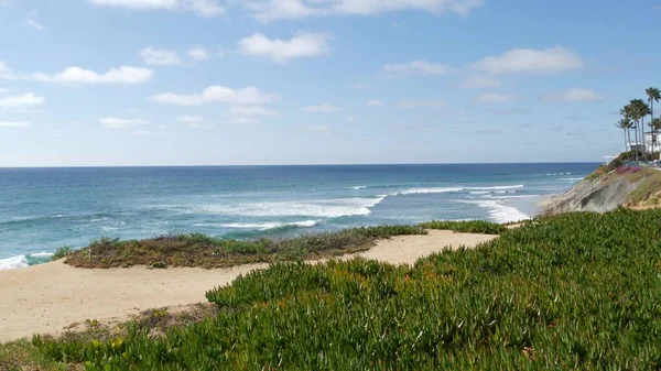 Seascape vista point, California coast USA. Ocean tide, blue sea wave overlook. Ice plant succulent. — Stock Photo, Image