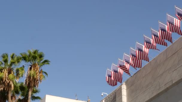 Bendera Amerika, Los Angeles City Hall, California USA. Palms dan Star-Spangled Banners, Stars and Stripes. Atmosfer patriotisme, Pusat Kewarganegaraan kota. Otoritas pemerintah federal dan demokrasi — Stok Video