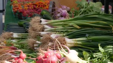 Tezgahta organik sebzeler, tezgahta taze yerel ürünler. ABD 'de çiftçi gıda pazarı.