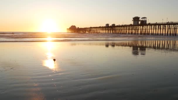 Silhouette de jetée au coucher du soleil, Californie États-Unis, Oceanside. Plage tropicale océanique. Oiseau mouette près de la vague — Video