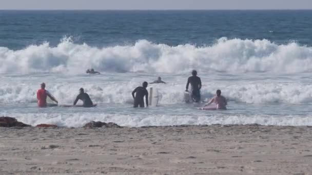 San Diego California Usa Kasım 2020 Okyanus Dalgalarında Sörf Yapan — Stok video