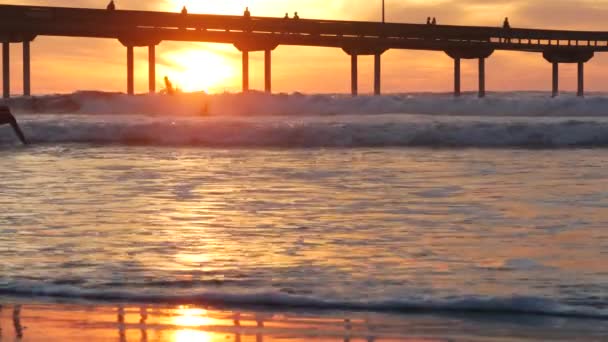 San Diego California Usa Nov 2020 People Surfing Ocean Beach — стокове відео