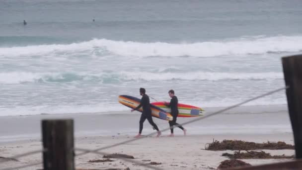 Monterey California Usa Aralık 2020 Sörf Tahtalı Sörfçüler Kumlu Okyanus — Stok video