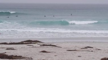 Monterey, California USA - 13 Aralık 2020: sörf tahtalı sörfçüler, kumlu okyanus plajı. Sörf yapan insanlar, sisli sahillerde. Sisli yağmurlu, gri sonbahar ya da kış havası. Büyük dalgalar, soğuk deniz suyu..