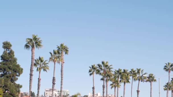 Сан Диего Калифорния Сша Ноября 2020 Самолет Взлетно Посадочной Полосе — стоковое видео