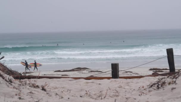 Monterey California Amerikai Egyesült Államok December 2020 Surfers Surfboards Sandy — Stock videók