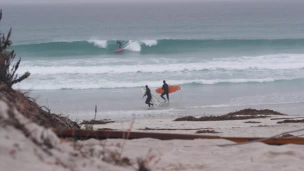 Monterey California Usa Dec 2020 Серфери Серфінгом Піщаний Пляж Океану — стокове відео