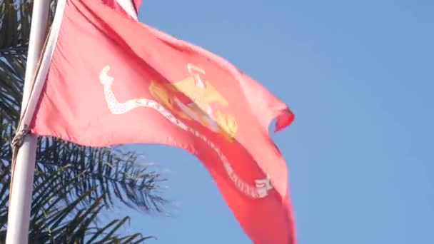 2020年11月25日 アメリカ合衆国カリフォルニア州サンディエゴ アメリカ海兵隊の赤旗が風になびく Usmcは軍隊の海上陸上部隊の支部である アメリカ海軍 海軍軍事記号 — ストック動画