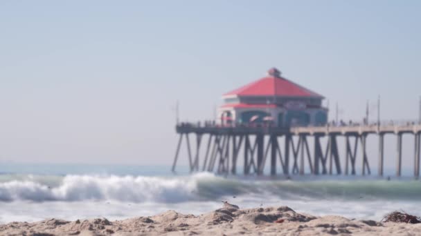 Huntington Beach California Usa Dec 2020 People Surfing Ocean Waves — Stock Video