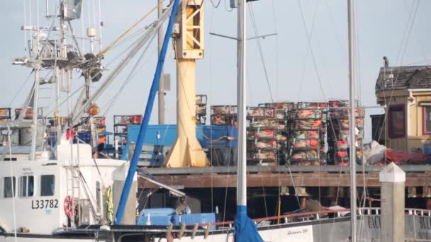 Monterey California Dic 2020 Muelle Pescadores Cerca Cannery Row Trabajadores — Vídeo de stock