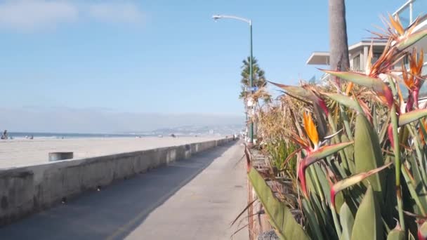 San Diego Kalifornien Usa Nov 2020 Människor Strandpromenaden Ridning Cyklar — Stockvideo