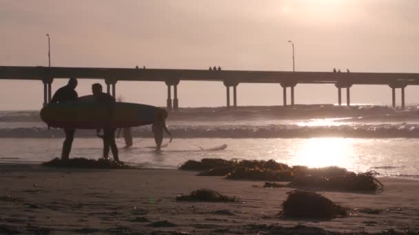 San Diego California Usa Nov 2020 People Surfing Ocean Beach — стокове відео