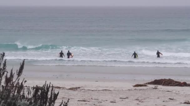 Monterey Kalifornie Usa Prosince 2020 Surfaři Surfaři Písečná Pláž Oceánu — Stock video