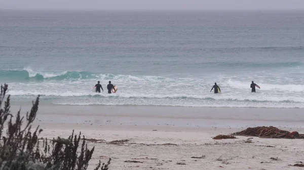Monterey California Usa Aralık 2020 Sörf Tahtalı Sörfçüler Kumlu Okyanus — Stok fotoğraf