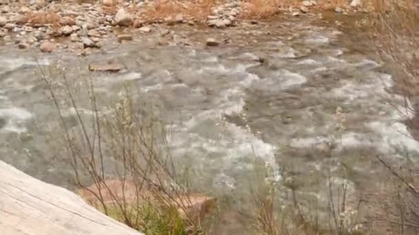 Berg flod i Zion nationalpark, höst i Utah, USA. Strömma i regnig röd ravin, terrakotta stenar och bäck. Foggy väder och lugn höst atmosfär. Ekoturism i USA — Stockvideo