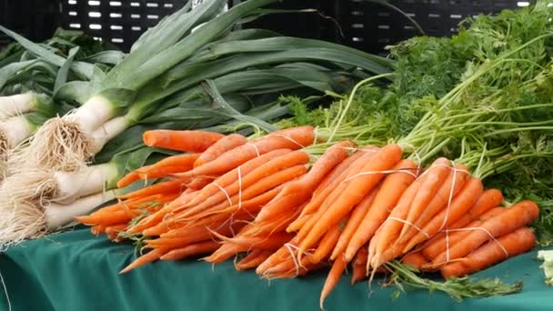 Bio-Gemüse an der Theke, frische Produkte aus der Region am Stand. Lebensmittelmarkt für Bauern in den USA. — Stockvideo