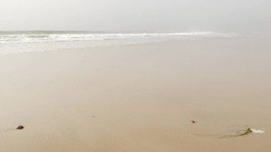Sandy sisli Kaliforniya plajı. Pasifik Okyanusu kıyıları, deniz kıyısında yoğun sis. Çürük sisli dalgalar.