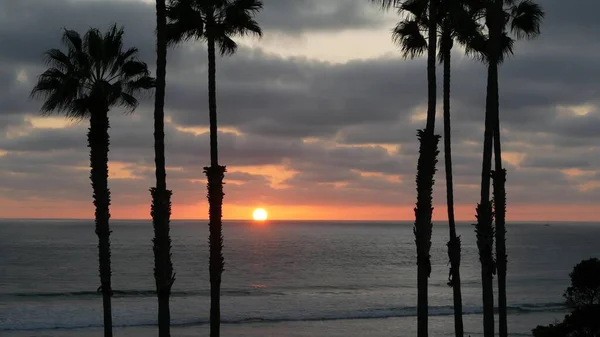 Palmas e céu crepúsculo na Califórnia EUA. Oceano tropical praia pôr-do-sol atmosfera. Vibrações de Los Angeles. — Fotografia de Stock