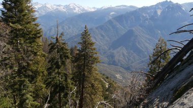 Sequoia Ormanı Ulusal Parkı 'ndaki Moro Rock' tan panoramik manzara, Kuzey Kaliforniya, ABD. Sierra Nevada dağlarındaki ağaçlara, kozalaklı ağaçlara tepeden bakan ağaçlara. Krallar Kanyonu 'nun yakınındaki görüş açısı