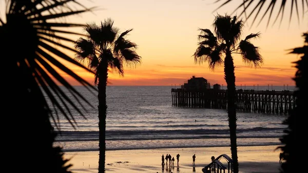 Palmas e céu crepúsculo na Califórnia EUA. Oceano tropical praia pôr-do-sol atmosfera. Vibrações de Los Angeles. — Fotografia de Stock
